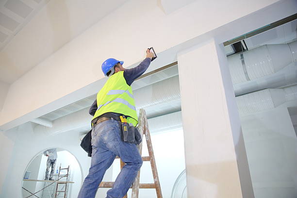 Best Commercial Mold Inspection  in Albion, PA